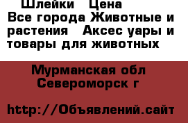 Шлейки › Цена ­ 800 - Все города Животные и растения » Аксесcуары и товары для животных   . Мурманская обл.,Североморск г.